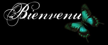 bienvenu sur mon blog 